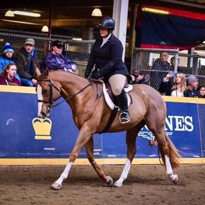 Meet your Posher, Katherine